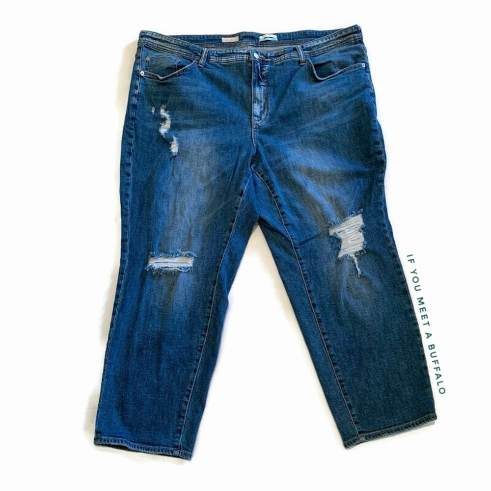 Anthropologie Pilcro Plus 24W Slim Boyfriend Crop Destroyed Distressed Stretch